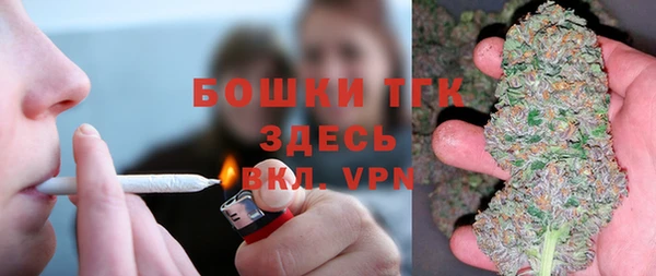 ПСИЛОЦИБИНОВЫЕ ГРИБЫ Балабаново