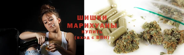ПСИЛОЦИБИНОВЫЕ ГРИБЫ Балабаново