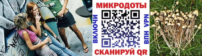 где найти   Цоци-Юрт  Псилоцибиновые грибы MAGIC MUSHROOMS 